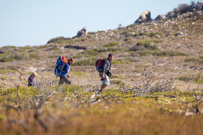 Cape Point Private Nature Tour & Hike - Cape Point, lighthouses, and the walking choice