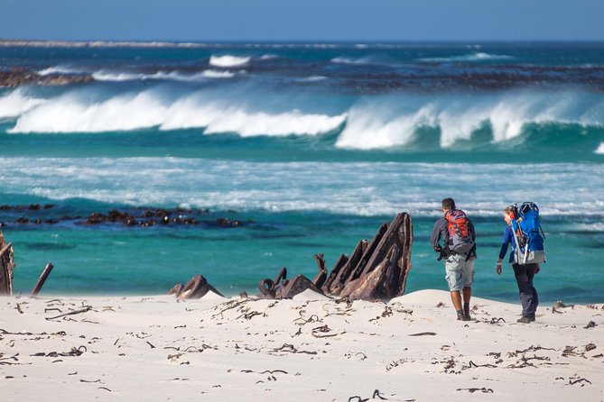 Cape Point Private Nature Tour & Hike - Four hours around the Cape of Good Hope