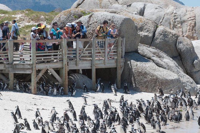 Cape Point Sightseeing Tour including Cape of Good Hope full day from Cape Town - Chapman’s Peak gives you a fast scenic payoff
