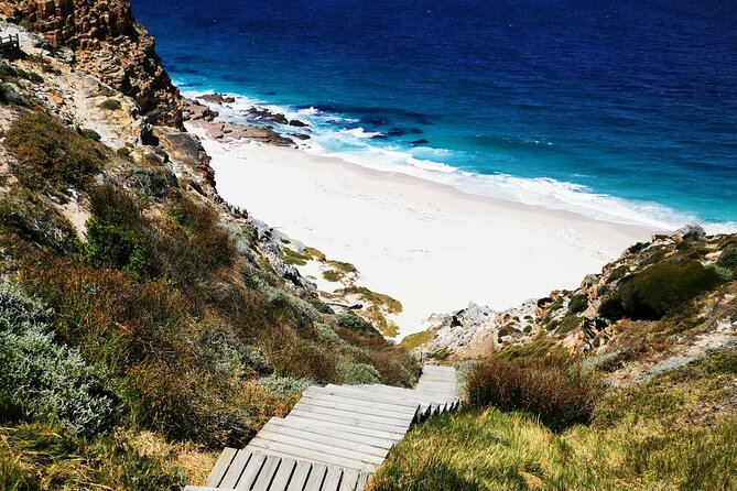 Cape Point Xplorer - Why this Cape Peninsula day works well