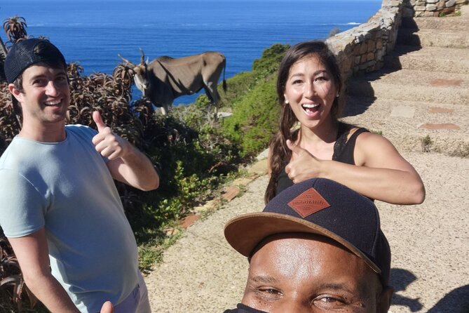 Cape Point Xplorer - Boulders Beach and the African penguins