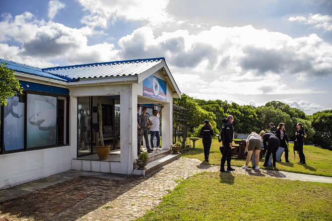 Cape Shark Diving Adventures - Warm showers and lunch make a difference
