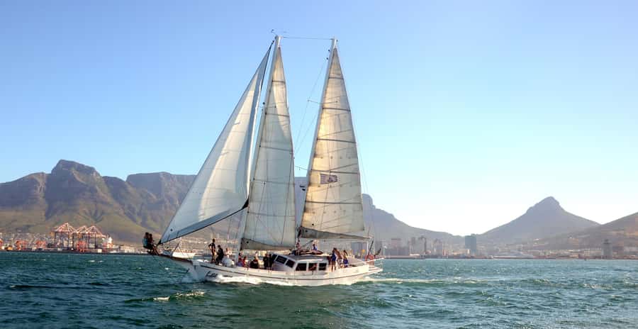 Cape Town: 1-Hour Pre-Sunset Champagne Cruise - Watching for dolphins, seals, whales, and sharks