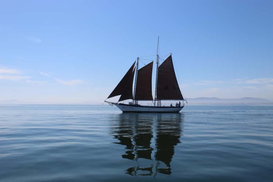 Cape Town: 1 Hour Table Bay Sailing Tour - Leaving the harbor and finding the best view