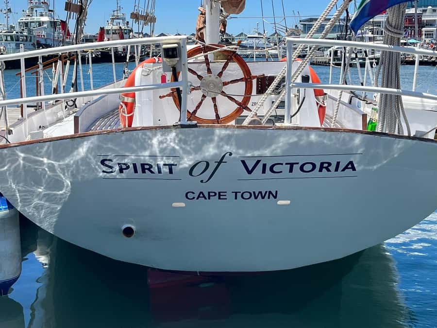 Cape Town: 1 Hour Table Bay Sailing Tour - Wildlife sightings, with realistic expectations