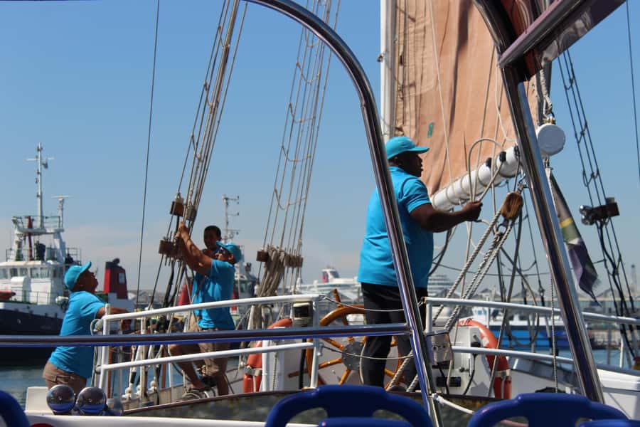 Cape Town: 1 Hour Table Bay Sailing Tour - Crew, atmosphere, and comfort