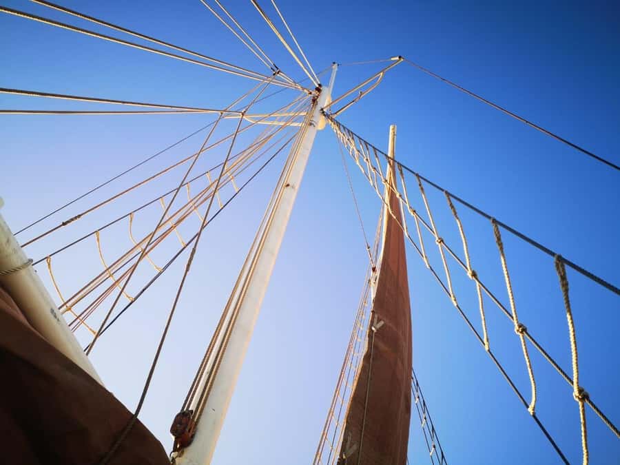 Cape Town: 1 Hour Table Bay Sailing Tour - Who should book this Table Bay sail?