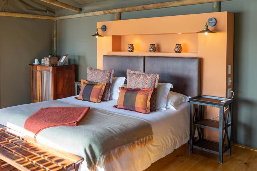 Cape Town: 2-Day Wildlife Tour with Safaris and Luxury Stay - Is $534 good value for two days?
