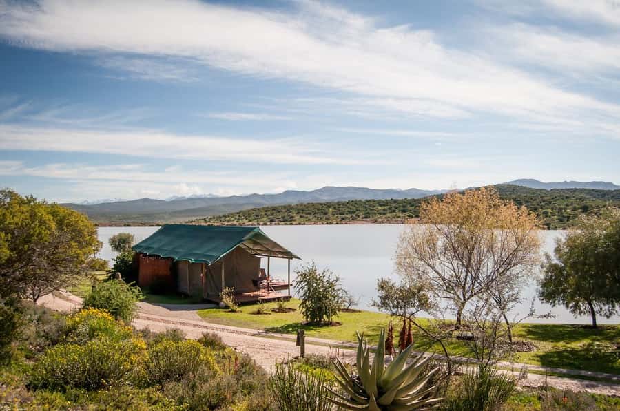 Cape Town: 2-Day Wildlife Tour with Safaris and Luxury Stay - Buffelsdrift Lodge and the best night of the trip