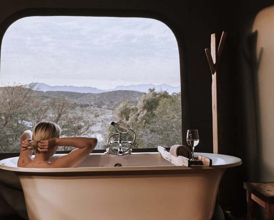 Cape Town: 2-Day Wildlife Tour with Safaris and Luxury Stay - Guides, vehicles, and group comfort