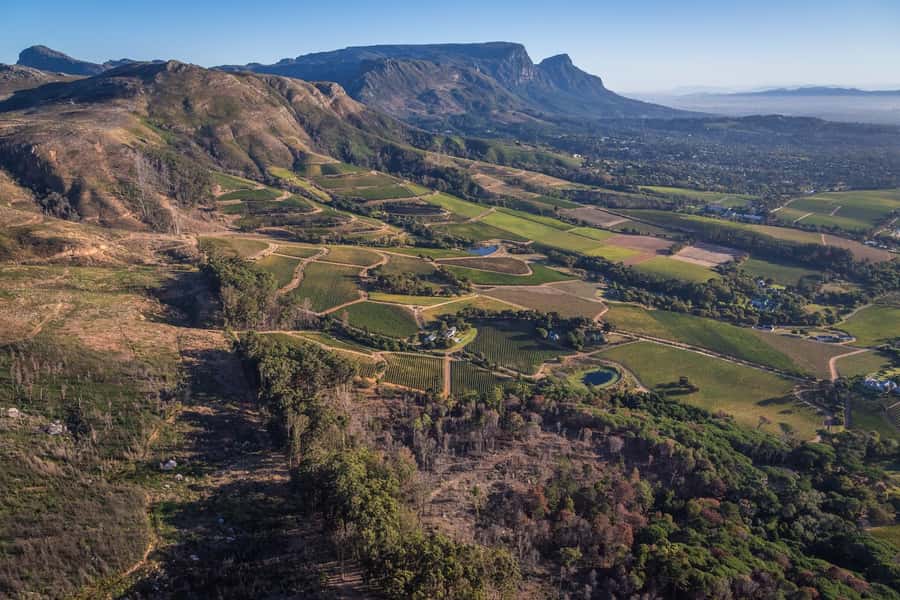 Cape Town: 2 Oceans Helicopter Flight with Boat Tour Ticket - What the $320 price really buys