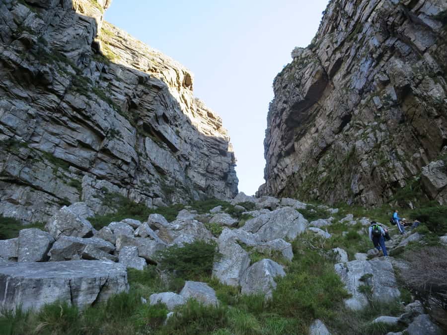 Cape Town: 3-Hour Table Mountain Hike via Platteklip Gorge - The direct climb up Table Mountain