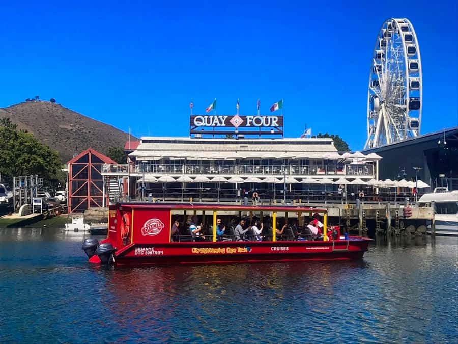 Cape Town: 30 Minute Seal-Watching Harbour Cruise - A quick look at Cape Town from the water