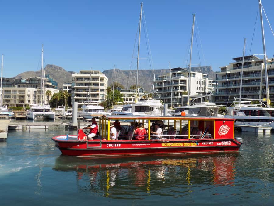 Cape Town: 30 Minute Seal-Watching Harbour Cruise - What the 30-minute route includes