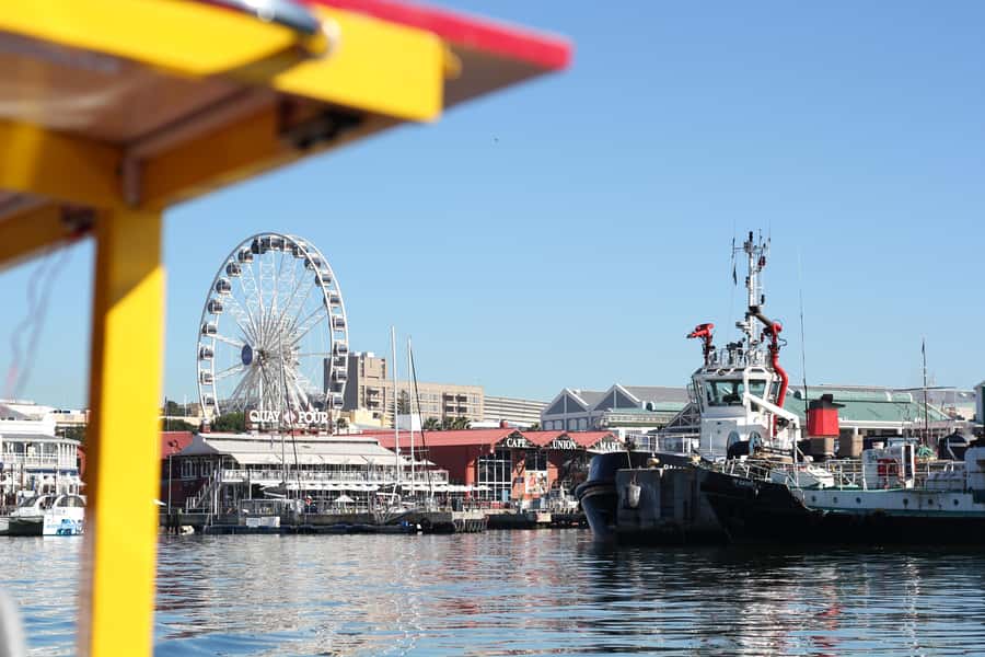 Cape Town: 30 Minute Seal-Watching Harbour Cruise - Choosing your language and using the headsets