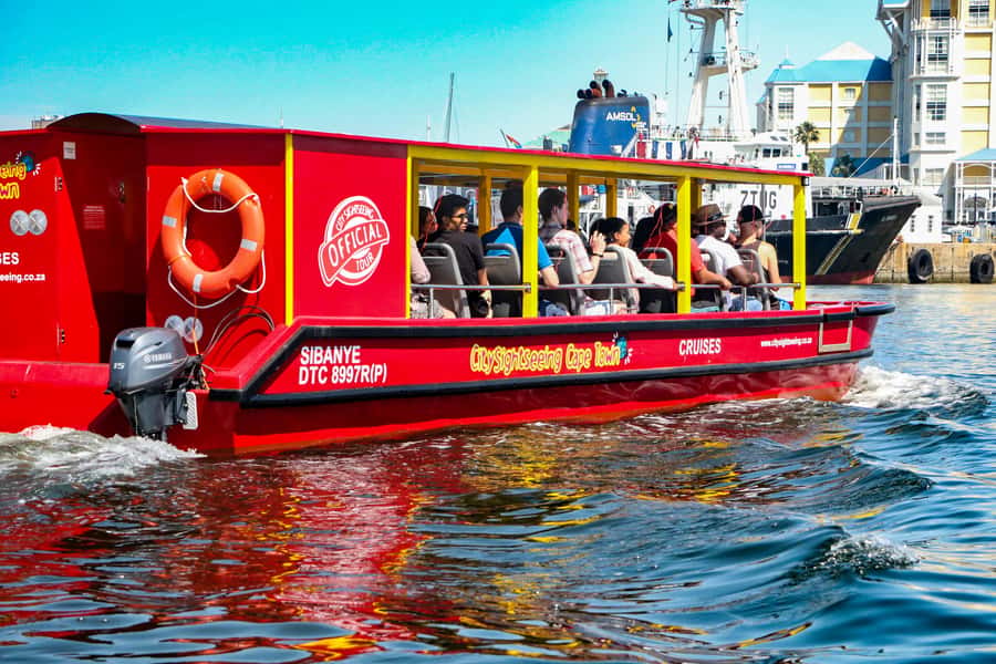 Cape Town: 30 Minute Seal-Watching Harbour Cruise - Is $6 good value?