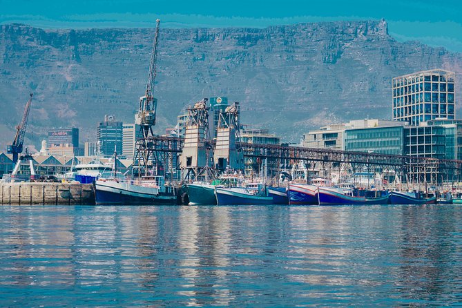 Cape Town 30-minute V&A Harbour Cruise - What the short duration means