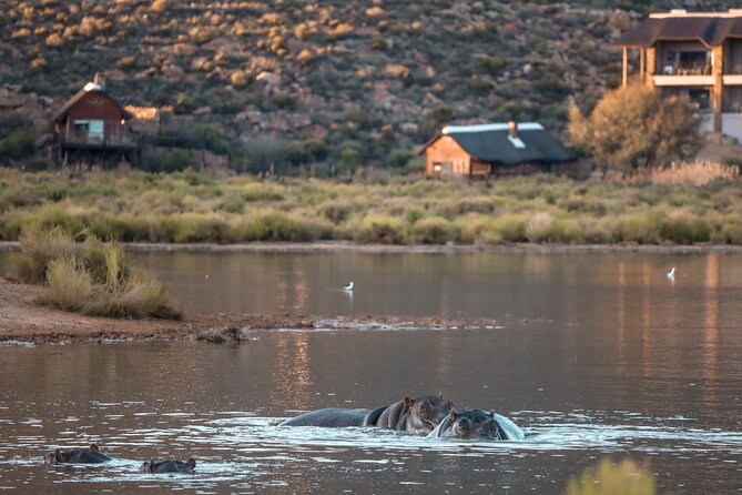 Cape Town Aquila Afternoon Safari with transport and lunch - Welcome drink and lunch at Aquila