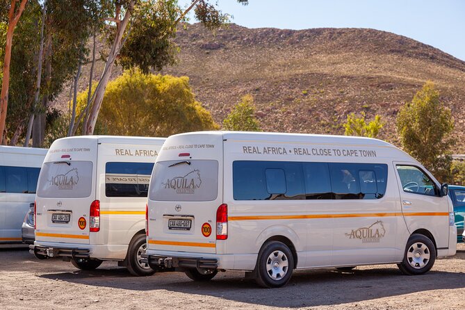 Cape Town Aquila Afternoon Safari with transport and lunch - From your hotel to the reserve