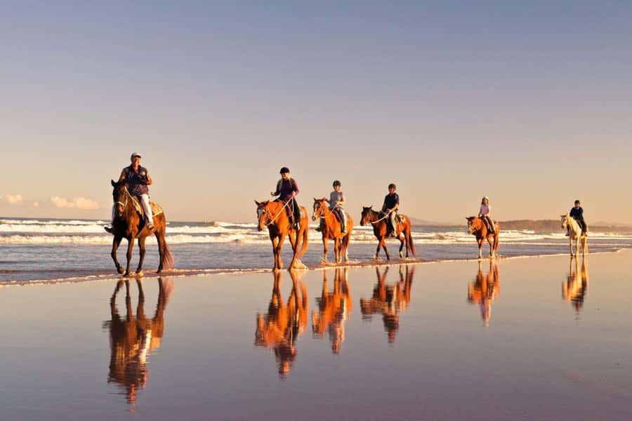 Cape Town: Beach Horse Ride with Hotel Pickup & Drop-off - Riding beside the Atlantic on Noordhoek Beach