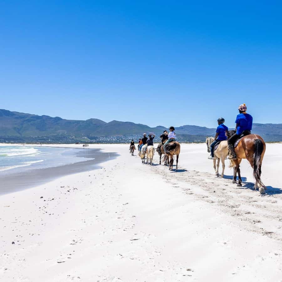 Cape Town: Beach Horse Ride with Hotel Pickup & Drop-off - The shoreline pace, surf, and possible wildlife