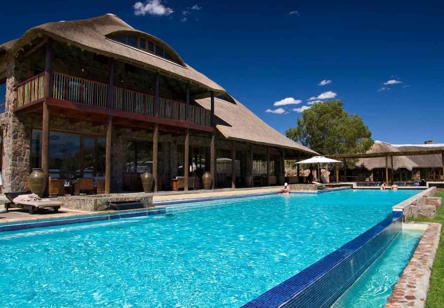 Cape Town: Big Five Safari and Breede River Valley Day Trip - Wine, coffee, and a short country break