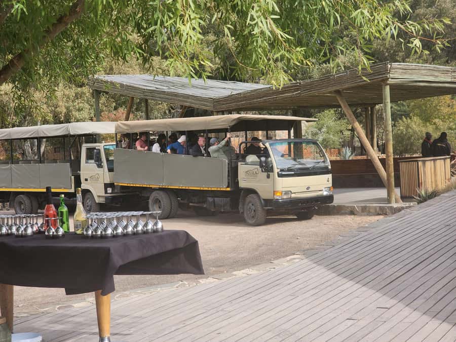 Cape Town big five safari with transport lunch Excl park fee - Lunch, swimming, and the waiting time