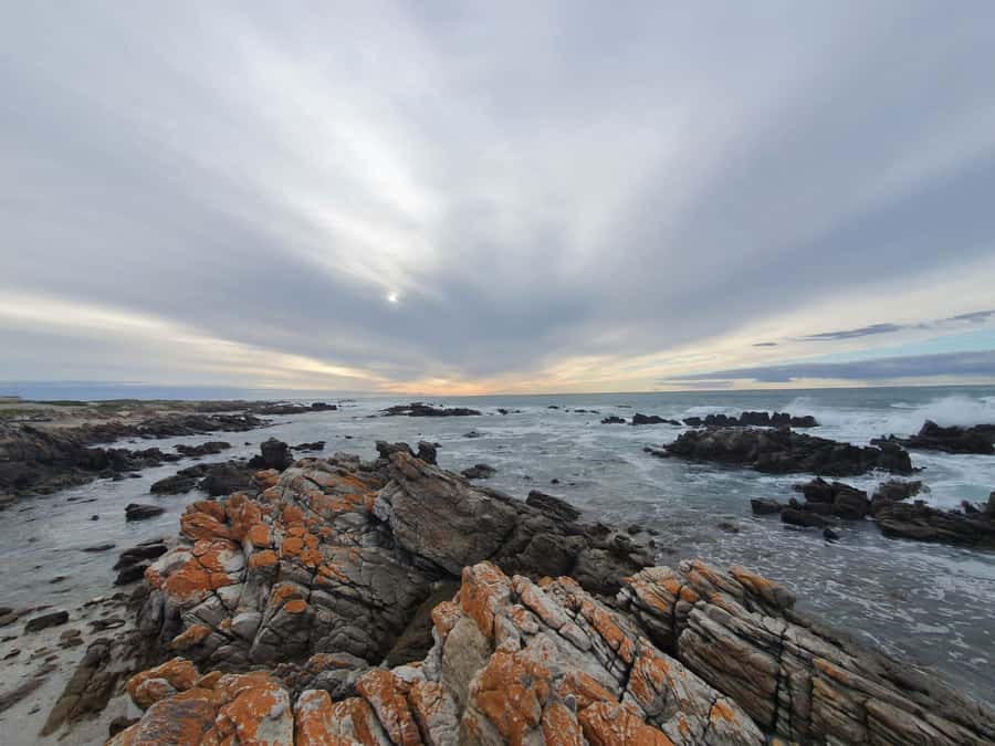 Cape Town: Cape Aghullas Van Tour with Hotel Pickup - Cape Agulhas is a long way from Cape Town