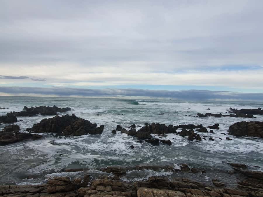 Cape Town: Cape Aghullas Van Tour with Hotel Pickup - What the small van changes