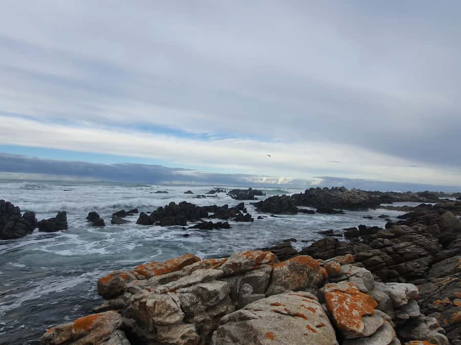 Cape Town: Cape Aghullas Van Tour with Hotel Pickup - Who should book this Cape Agulhas day trip?