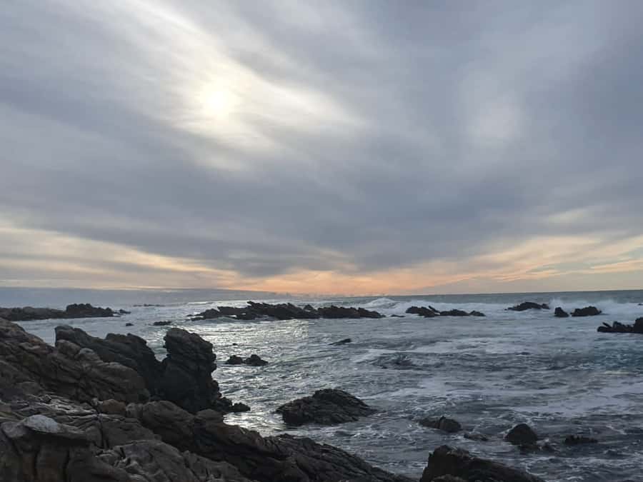 Cape Town: Cape Aghullas Van Tour with Hotel Pickup - The Elgin Valley and Appletizer country