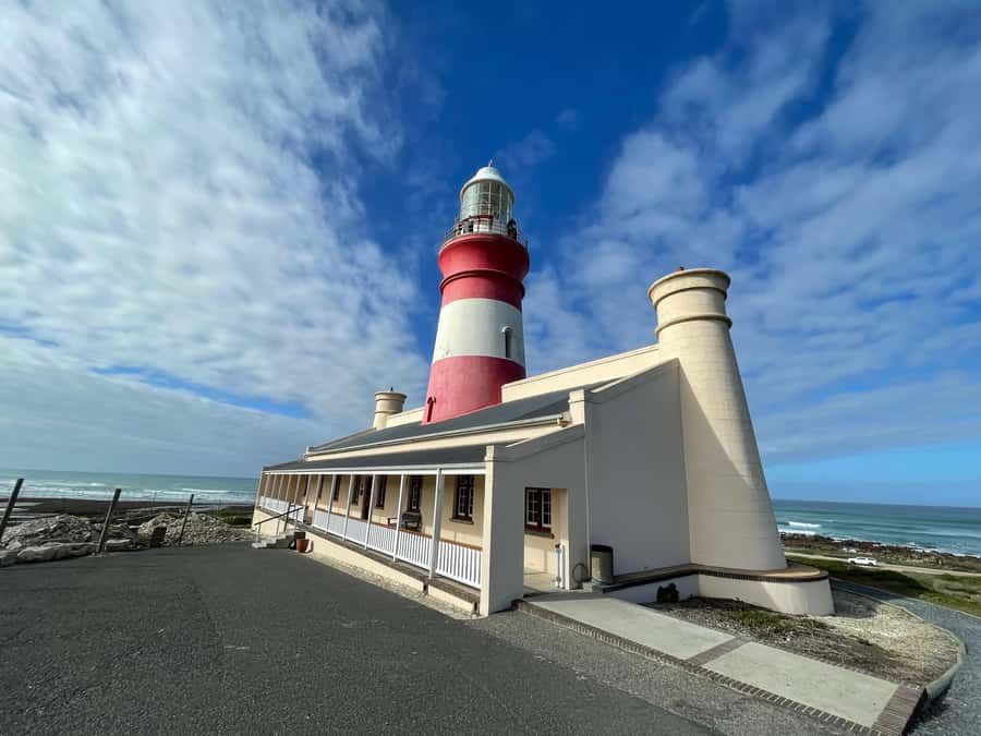 Cape Town: Cape Agulhas and Stony Point Penguin Tour - Stony Point and the African penguins