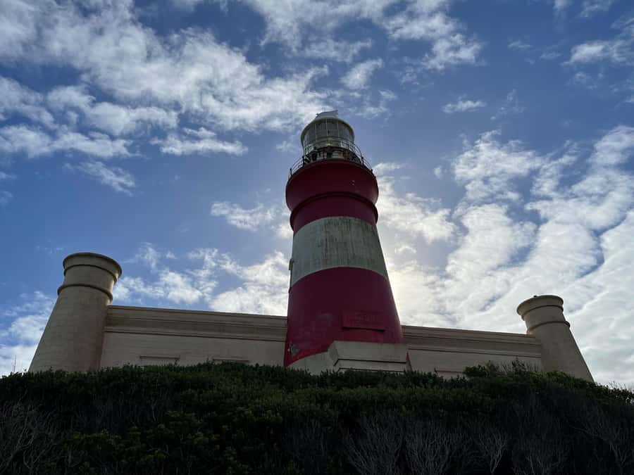 Cape Town: Cape Agulhas and Stony Point Penguin Tour - Is $249 a fair price?