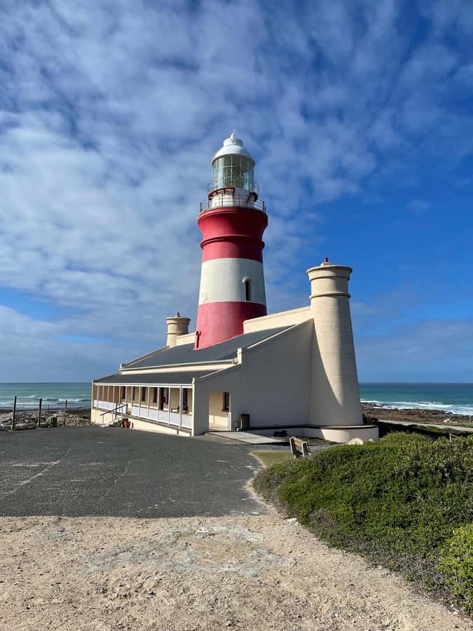Cape Town: Cape Agulhas and Stony Point Penguin Tour - The real drawback: a lot of road time