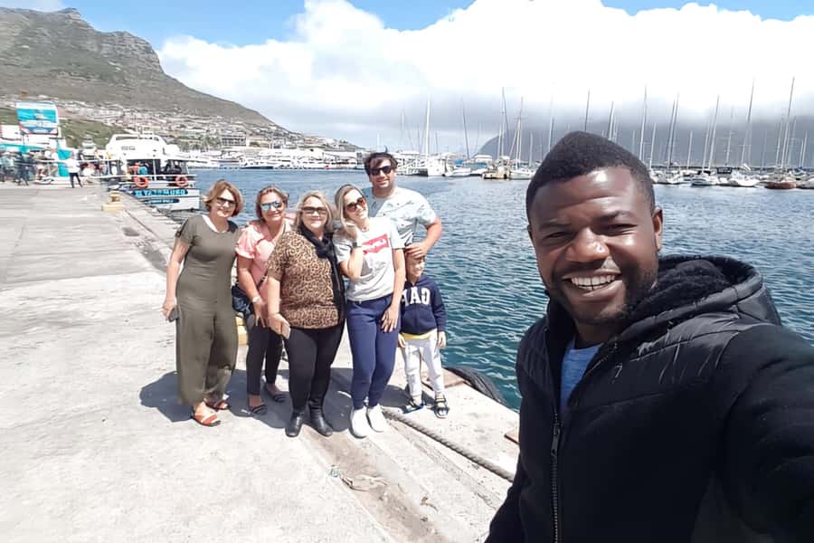 Cape Town: Cape of Good Hope and Penguins Full-Day Tour - Boulders Beach brings the penguins close