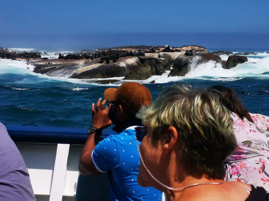 Cape Town: CAPE OF GOOD HOPE AND PENGUINS PRIVATE FULL DAY. - Who will enjoy this tour most