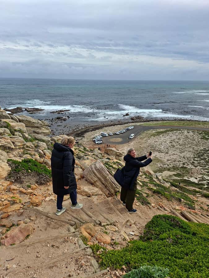 Cape Town: CAPE OF GOOD HOPE AND PENGUINS PRIVATE FULL DAY. - Hout Bay, seals, and the road to Chapmans Peak