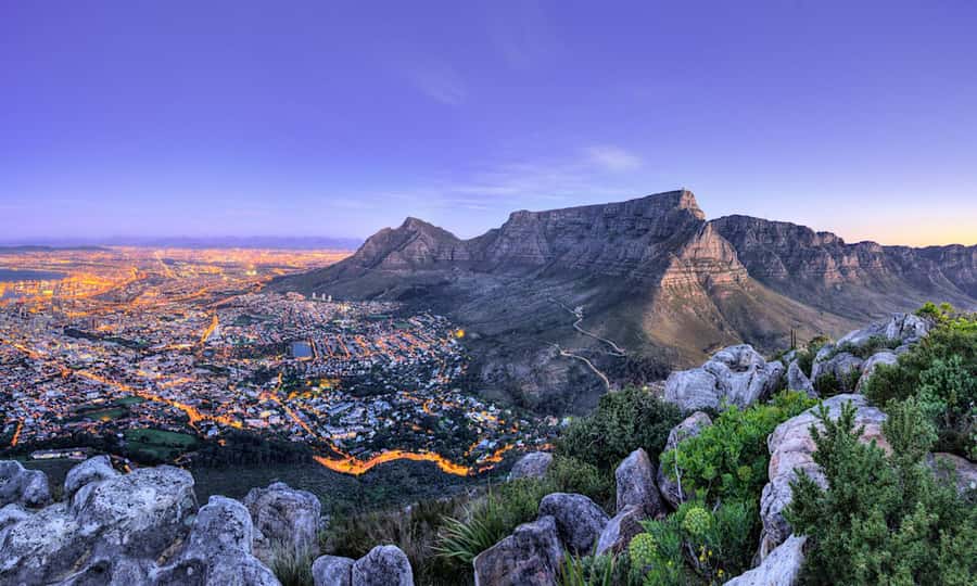Cape Town: CAPE OF GOOD HOPE AND PENGUINS PRIVATE FULL DAY. - Simons Town and Boulders Beach penguins