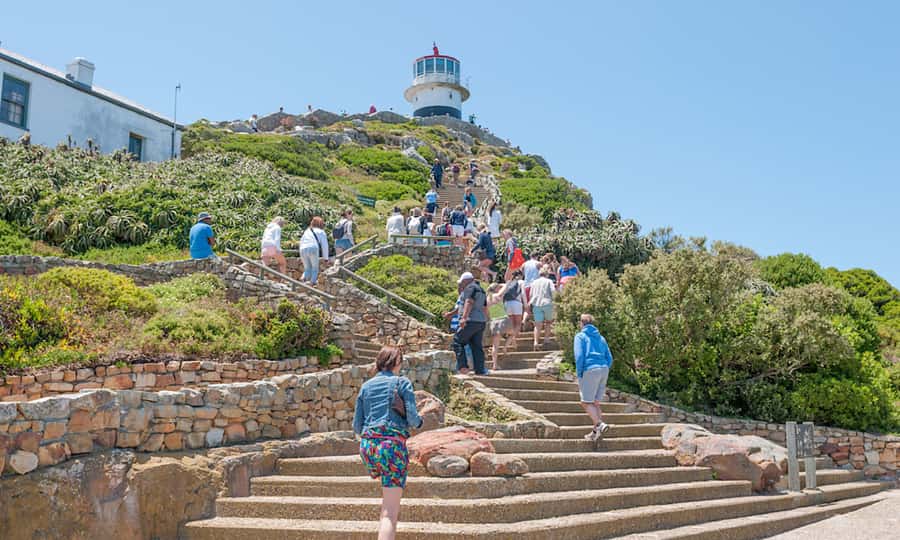 Cape Town: CAPE OF GOOD HOPE AND PENGUINS PRIVATE FULL DAY. - Timing, pickup, and the real cost