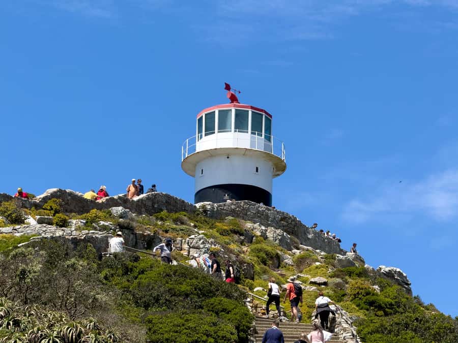 Cape Town: Cape of Good Hope & Penguin Colony Entry Ticket - Walking or paying extra for the Flying Dutchman