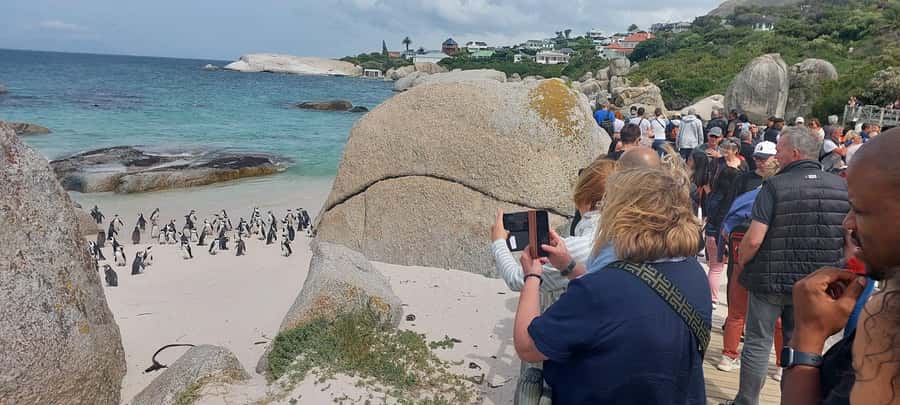 Cape Town: Cape of Good Hope, Penguins and Sightseeing Tour - Table Mountain sets the scale of Cape Town