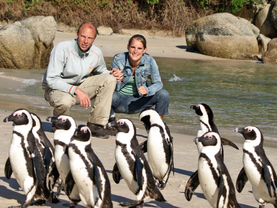 Cape Town: Cape of Good Hope & Penguins Day Tour with Pickup - Maiden’s Cove and the first view of the coast