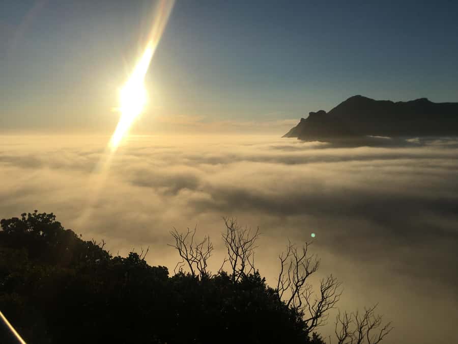 Cape Town: Cape of Good Hope & Penguins Full-Day Guided Tour - Chapman’s Peak delivers the big road-view moment