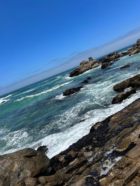 Cape Town: Cape of Good Hope & Penguins Full-Day Guided Tour - Cape Point and the Old Lighthouse