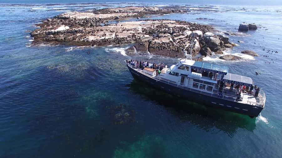 Cape Town: Cape of Good Hope, Seals and Penguins Day Tour - From Bantry Bay to Maiden’s Cove