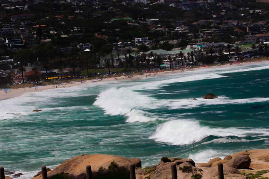 Cape Town: Cape Peninsula & Boulders Beach Shared Tour - Hout Bay gives you two ways to use your hour