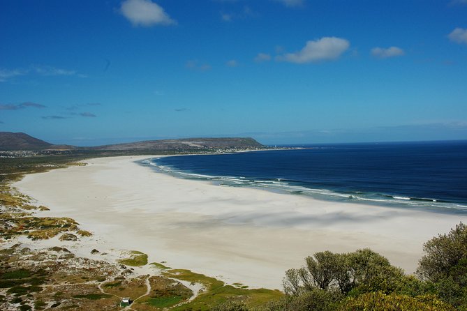 Cape Town: Cape Peninsula Half Day Private Tour - Why this five-hour Peninsula trip works
