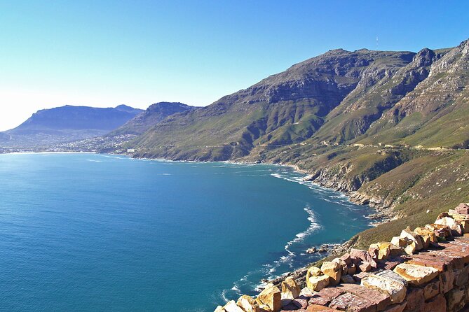 Cape Town: Cape Peninsula Half Day Private Tour - Price, timing, and what you really pay