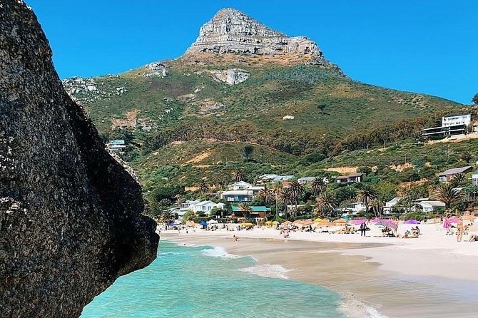 Cape Town: Cape Peninsula Private Tour Full Day - Who will get the most from this tour