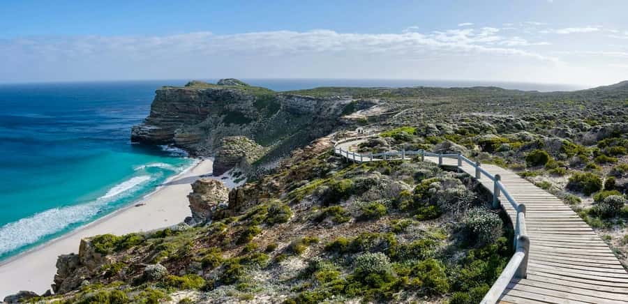 Cape Town: Cape Point and Penguin Colony Full Day Tour - What the $115 tour really gives you